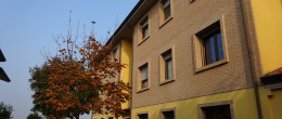 Rif.1378 Rif.1378