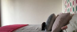 Rif.1503 Rif.1503