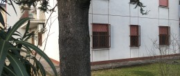 Rif.1527 Rif.1527