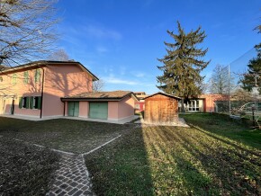 img_5351