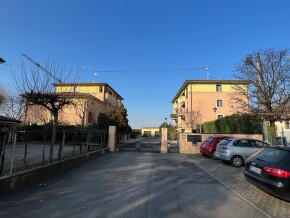 img_6884