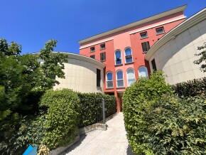 img_8454