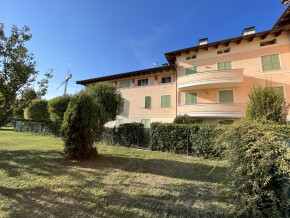 img_0539