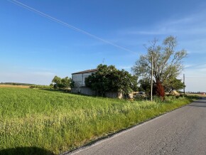 img_5878