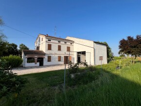 img_5889