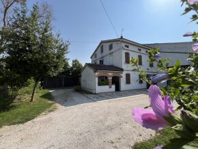 img_3711