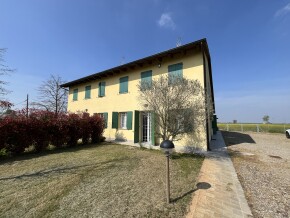img_8294