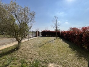 img_8296