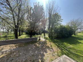 img_8381