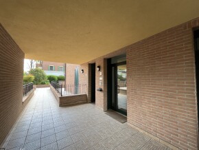 img_8594