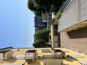 img_8706