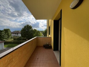 img_8833