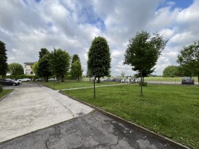 img_8856