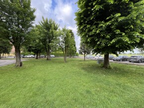 img_8861