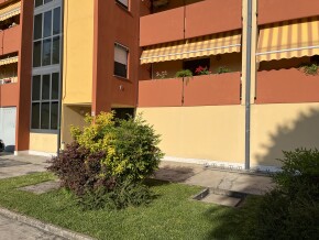 img_8864