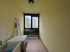 img_8806