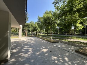 img_9503