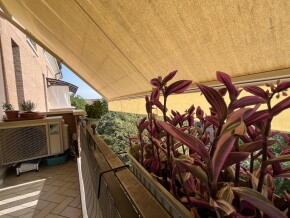 img_9621