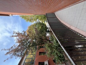 img_7779